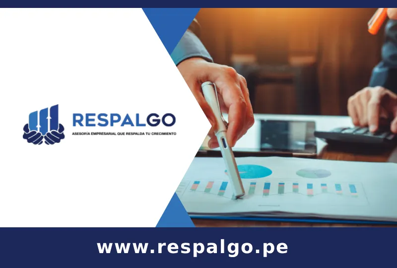 imgi_31_imgi_22_respalgo